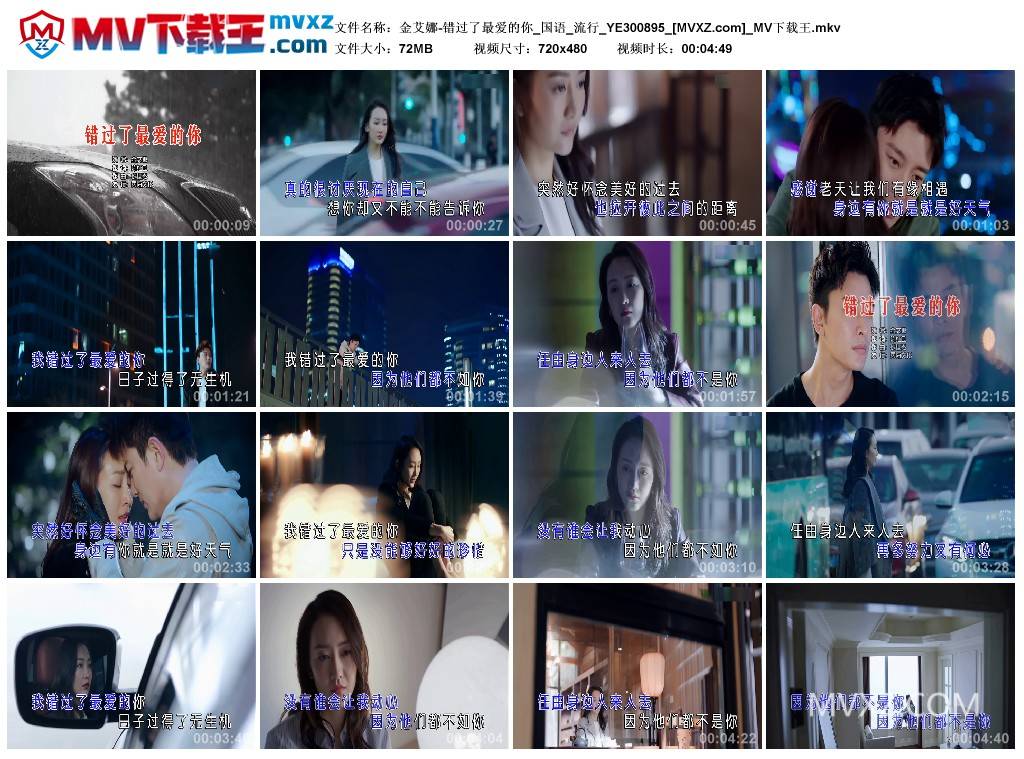 金艾娜-错过了最爱的你_国语_流行_YE300895